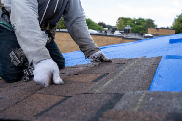 Best Roof Leak Repair  in Portland, TN